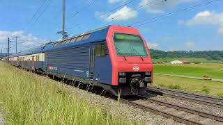 SBB CFF FFS Re 450 017  Re 450 053 com S9  Eglisau [upl. by Alletse603]