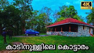 ടൈഗർ റിസർവിനുള്ളിലുള്ള പഴയ ബ്രിട്ടീഷ് കൊട്ടാരത്തിൽ ഒരു ദിവസം  Mount Stuart Bungalow  4K UHD [upl. by Chasse851]