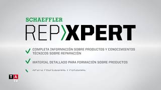 Institucional Schaeffler Entrevista a Renata Campos en Automec 2019 [upl. by Nuhsar787]