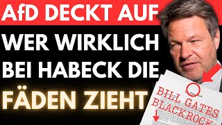 AfD reißt die GRÜNE MASKE runter 🚨 Von Storch enthüllt das DUNKLE NETZWERK hinter HABECK [upl. by Rolph]