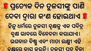 ପ୍ରତ୍ଯେକ ଦିନ ତୁଳସୀଙ୍କୁ ଜଳ ଅର୍ପଣ କରିବା ଦ୍ଵାରା କେଉଁ ପ୍ରକାର ଫଳ ପ୍ରାପ୍ତ ହୋଇଥାଏdharmik katha [upl. by Haas574]