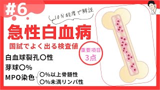 ⑥【急性白血病】分類と各疾患の治療薬まで全て解説（看護、薬学生向け） [upl. by Attem]