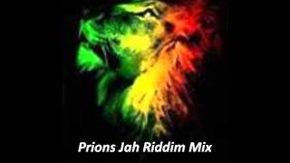 Prions Jah Riddim Mix December 2011 Roots Reggae Ragga Megamix One Riddim [upl. by Lartnom]