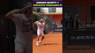 MUSETTI FANTASTIC FOREHAND PRACTICE tennis shorts [upl. by Eboh]