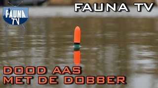 Fauna TV  Snoeken met dood aas onder de dobber [upl. by Salita174]