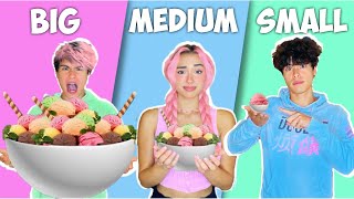 Big VS Medium VS Small Food Challenge [upl. by Vanden342]