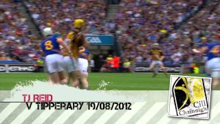 Top 5 GAA Hurling Goals  2012 [upl. by Einnaoj902]