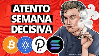 ✅TIENES QUE SABERLO😱Noticias Criptomonedas HOYBitcoin Ethereum Cardano Solana XRP DOT LINK XLM [upl. by Llyrad437]