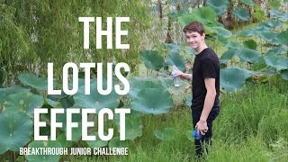 The Lotus Effect Breakthrough Junior Challenge 2016 [upl. by Ilsa826]