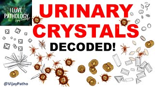 Practical Pathology Examination of urine sediment URINARY CRYSTALS [upl. by Dryden667]