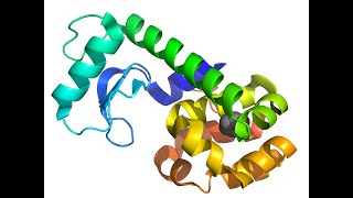 Protein purification Cell lysis [upl. by Rahs]