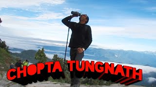 CHOPTA TUNGNATH CHANDRASHILA TREK  CHOPTA CAMPING  CHOPTA TOUR INFORMATION  TUNGNATH TREK VLOG [upl. by Decker]