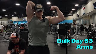 Bulk Day 53  Arms [upl. by Celie300]