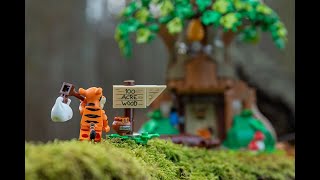 LEGO IDEAS 21326 Winnie the Pooh  speedbuild and review [upl. by Eiaj579]