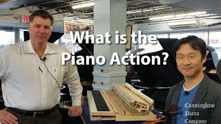 What is a Piano Action [upl. by Burny]