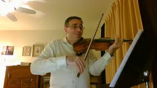 Violin Concerto in EMinor first movement Nardini [upl. by Xonk]