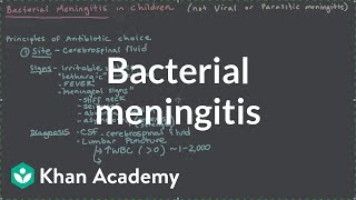 Bacterial meningitis  Miscellaneous  Heatlh amp Medicine  Khan Academy [upl. by Yelrahs9]