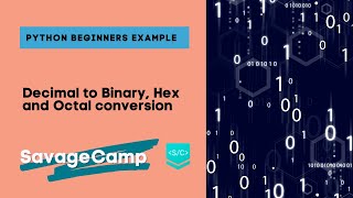 Python Decimal to Binary Hex and Octal Conversion VERY EASY [upl. by Tamma]