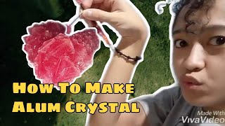 How To Make Alum Crystal  Crystal Experiment [upl. by Enywtna]