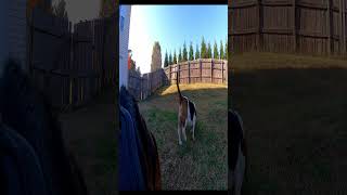 Handsome Jack GoPro Backyard security manager preview [upl. by Ydnil]