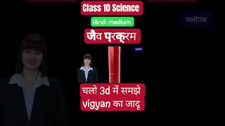 जैव प्रक्रम  life process  class 10 Science sciencexplorero ncert [upl. by Cloutman299]