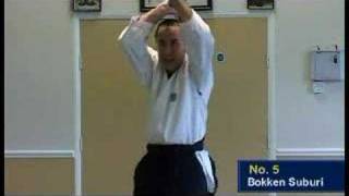 Aikido  7 bokken suburi Dunken Francis [upl. by Fish]