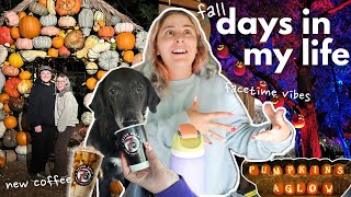 FALL VLOG pumpkins halloween lights new coffee shops  chatting like were on facetime [upl. by Mellette]