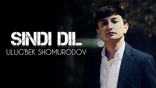 SINDI DIL  Ulug’bek Shomurodov Premyera [upl. by Thad]