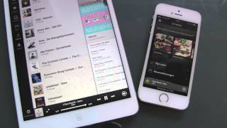 Spotify Warteschlange bearbeiten  iPhone App Update [upl. by Hanahsuar]