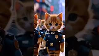 CAT WITH MOTO catlover cat kitten cute petdance dance animaldance aivideogenerator [upl. by Antonius609]