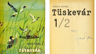 Tüskevár hangoskönyv  Fekete István 12 [upl. by Cassondra226]