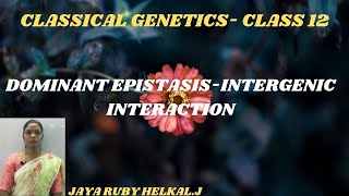 CLASSICAL GENETICS INTERGENIC INTERACTION DOMINANT EPISTASIS CLASS 12 [upl. by Huttan228]