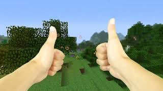 REALISTIC MINECRAFT IN REAL LIFE  IRL Minecraft Animations  In Real Life Minecraft Animations [upl. by Aesoh]