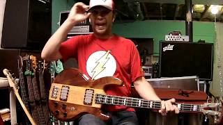 Whipping Post  The Allman Brothers Band Berry Oakley bass cover [upl. by Kenweigh107]