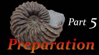 Ammonite preparation Hoplites from Troyes Part 5 [upl. by Ainesell786]