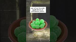 Gelatinous Cube Jellies dndmonsters dnd eatingthedungeon gelatinouscube [upl. by Berlinda]