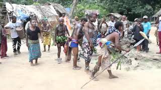 Mbuti Pygmy International Day of the Worlds Indigenous Peoples Traditional Dance [upl. by Emmye]