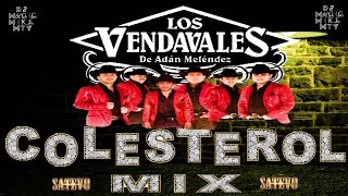 🎷LOS VENDAVALES 🎷EL COLESTEROL MIX🎷BY DJ MAGIC MIKE MTY🎷 [upl. by Nilrem]