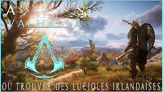 Assassins Creed Valhalla  Où trouver des lucioles irlandaises [upl. by Anicnarf616]