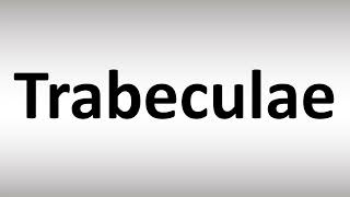 How to Pronounce Trabeculae [upl. by Otha728]