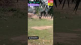 plot sale in cuttack trisuliareal estatetrending videoproperty [upl. by Farhi]