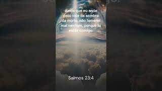 Salmos 234 [upl. by Salomie]