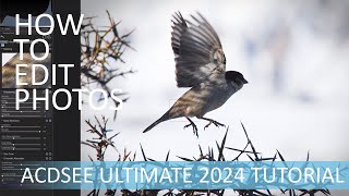 How to Edit Photos in ACDSee Ultimate 2024  A Beginners Guide [upl. by Ivzt334]