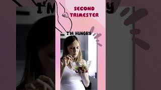 first trimester vs second trimester differences in first and second trimester new in 2nd trimester [upl. by Arabel]