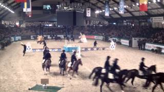 Ponyclub Heidmühlen  Holstenhallen 2015 [upl. by Neevan245]