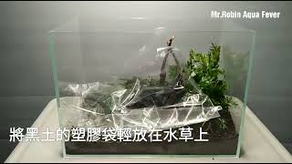 如何設置我的第一個水草缸 新手必看 how to build a aquatic plants aquarium fish tank in the first time new to make [upl. by Gentes24]