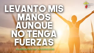 LEVANTO MIS MANOS AUNQUE NO TENGA FUERZA  MUSICA DE ADORACION  MUSICA CRISTIANA [upl. by Nhguavoj902]