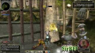 Dungeons amp Dragons Online DDO gameplay [upl. by Wilda405]