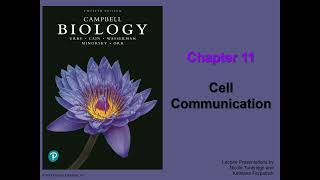 General Biology College  Chapter 11  Cell Communication [upl. by Lucilia]