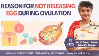 Ovulation Problems  Anovulation  Fertility Tips  Dr C Suvarchalaa  ZIVA Fertilityy [upl. by Varin]